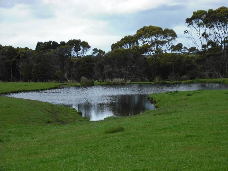 202 Ridges Road, King Island TAS 7256