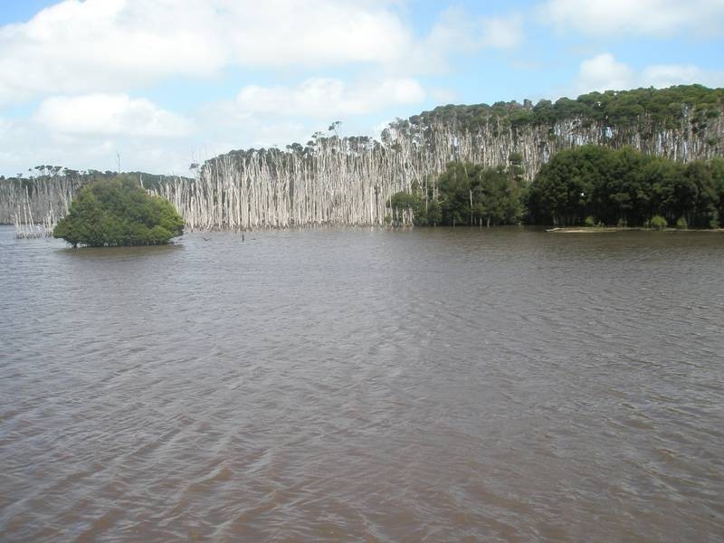 202 Ridges Road, King Island TAS 7256