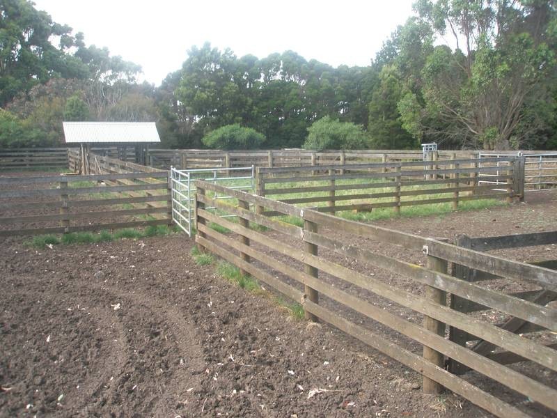 202 Ridges Road, King Island TAS 7256