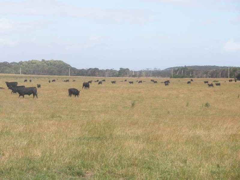 202 Ridges Road, King Island TAS 7256