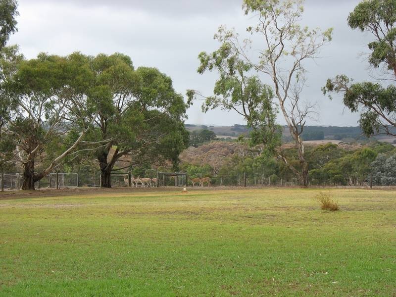 Lot 617 Range Road, Mclaren Vale SA 5171