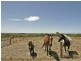 Lot 617 Range Road, Mclaren Vale SA 5171