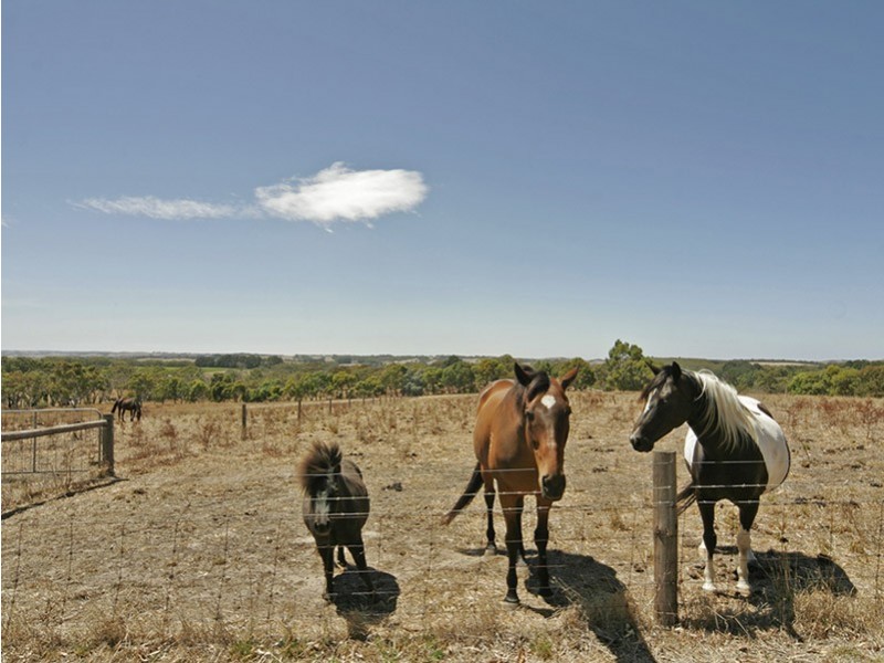 Lot 617 Range Road, Mclaren Vale SA 5171