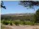 Lot 2 Blewitt Springs Road, Mclaren Vale SA 5171