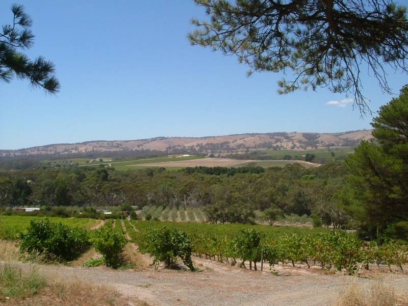 Lot 2 Blewitt Springs Road, Mclaren Vale SA 5171