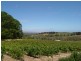 Lot 2 Blewitt Springs Road, Mclaren Vale SA 5171