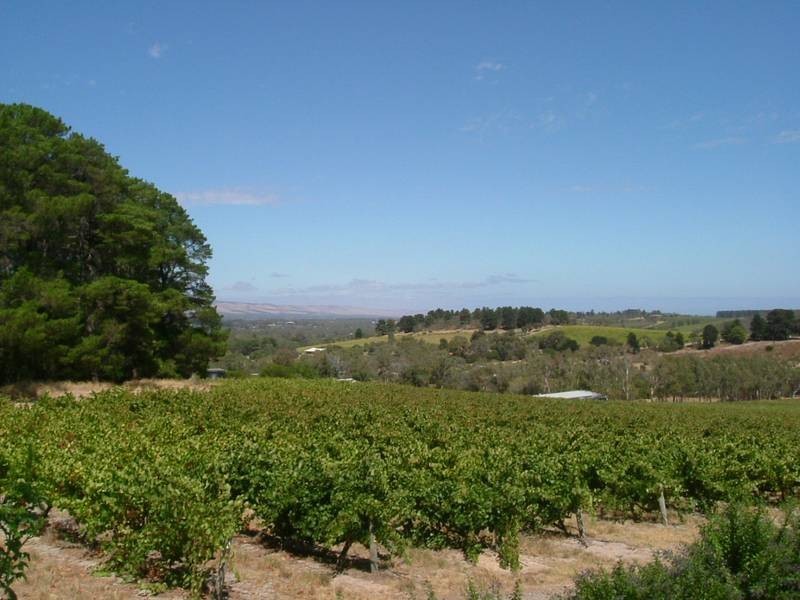 Lot 2 Blewitt Springs Road, Mclaren Vale SA 5171