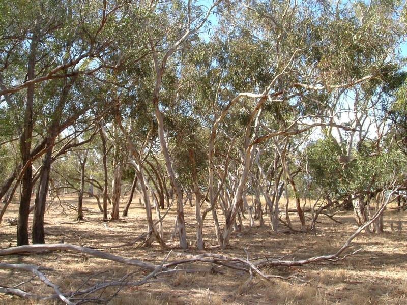 Lot 11-13,  Hunt Road, Mount Compass SA 5210