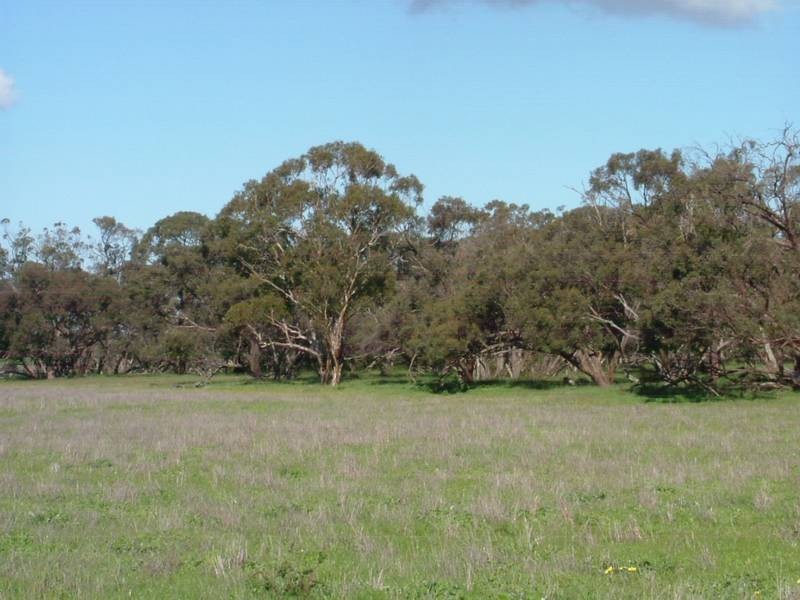 Lot 11-13,  Hunt Road, Mount Compass SA 5210