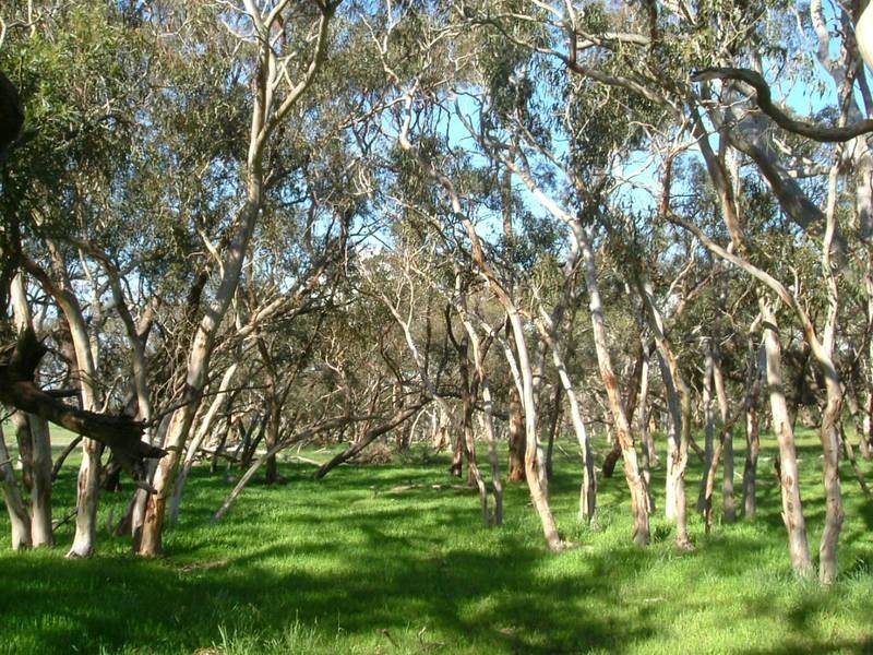 Lot 11-13,  Hunt Road, Mount Compass SA 5210