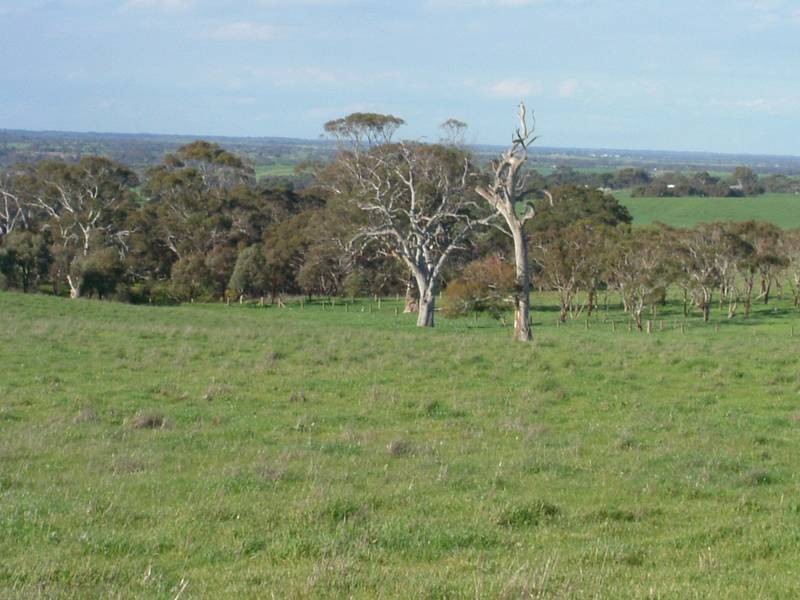 Lot 11-13,  Hunt Road, Mount Compass SA 5210