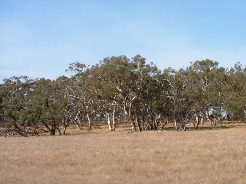 Pces14&15 Hunt Road, Mount Compass SA 5210