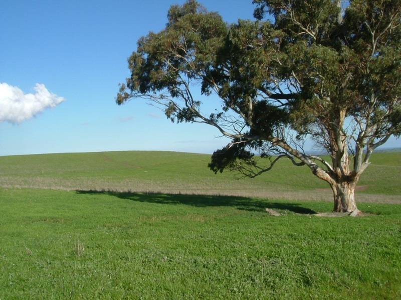 Pces16&17 Lake View Road, Mount Compass SA 5210