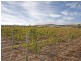 Lot 1 Delabole Road, Willunga SA 5172