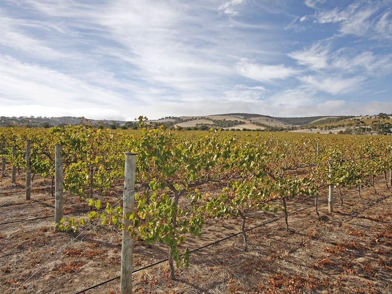 Lot 1 Delabole Road, Willunga SA 5172