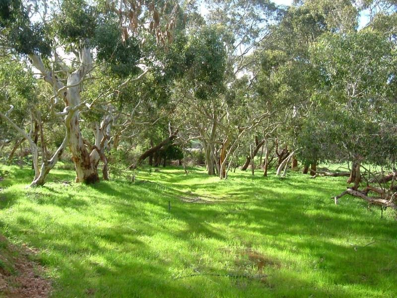 Lot 30 Willowburn Drive, Mount Compass SA 5210