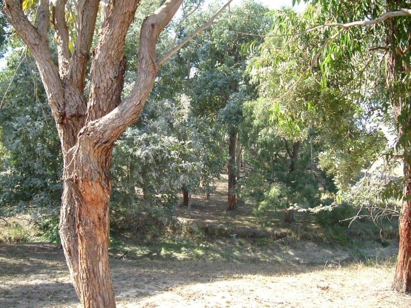 Lot 302 Nangkita Road, Mount Compass SA 5210