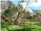 Lot 30,  Willowburn Road, Mount Compass SA 5210