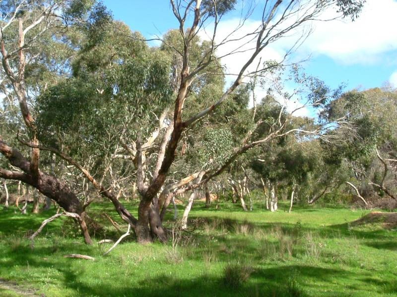 Lot 30,  Willowburn Road, Mount Compass SA 5210