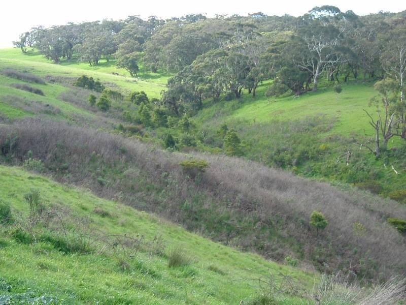 Lot 302,  Nangkita Road, Mount Compass SA 5210