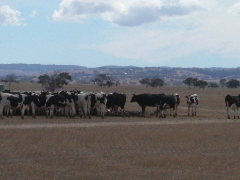 7 Nurragi Road, Finniss SA 5255
