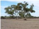 7 Nurragi Road, Finniss SA 5255