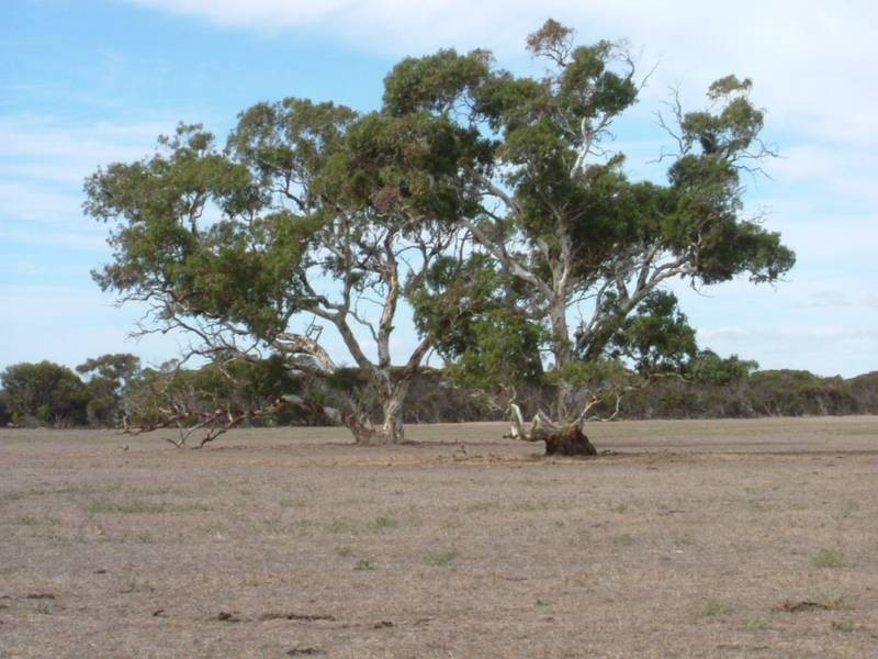 7 Nurragi Road, Finniss SA 5255