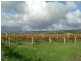 Lot 547, Pethick Road, Willunga SA 5172