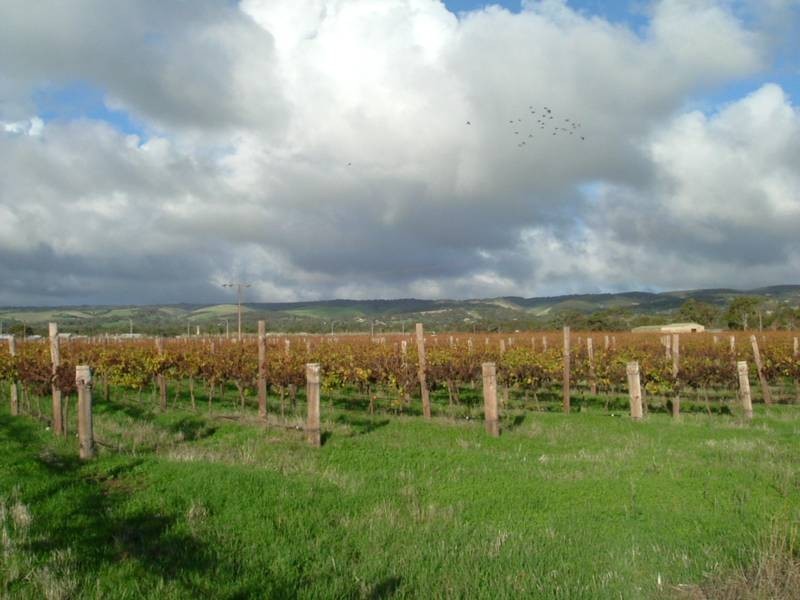 Lot 547, Pethick Road, Willunga SA 5172