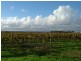 Lot 547, Pethick Road, Willunga SA 5172