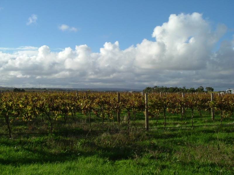 Lot 547, Pethick Road, Willunga SA 5172