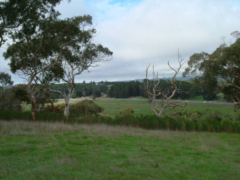 Lot 201 Bahloo Glen Road, Mount Compass SA 5210