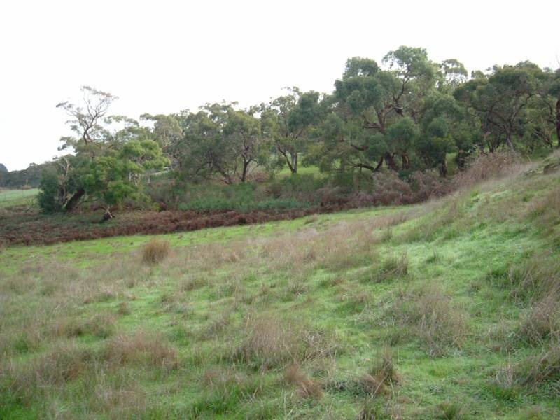 Lot 201 Bahloo Glen Road, Mount Compass SA 5210