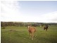 Lot 53,  Stones Ford Road, Mount Compass SA 5210