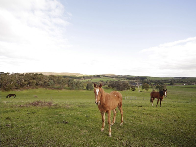 Lot 53,  Stones Ford Road, Mount Compass SA 5210
