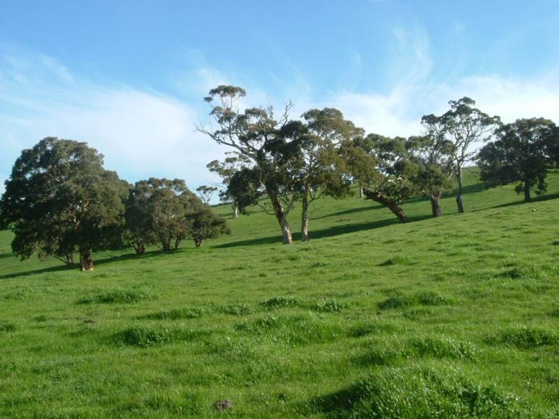 Lot 23,  Old Coach Rd, Hindmarsh Valley SA 5211