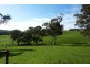 Lot 13 Scout Camp Road, Hope Forest SA 5172
