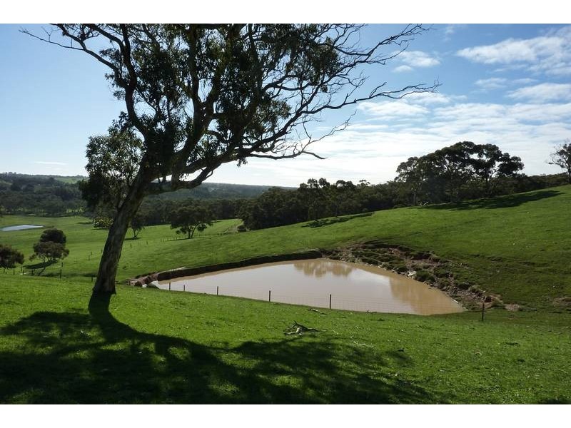 Lot 13 Scout Camp Road, Hope Forest SA 5172
