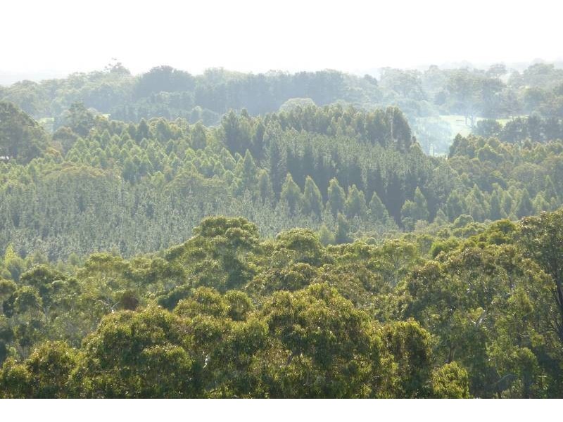 Lot 13 Scout Camp Road, Hope Forest SA 5172