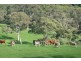 Lot 13 Scout Camp Road, Hope Forest SA 5172