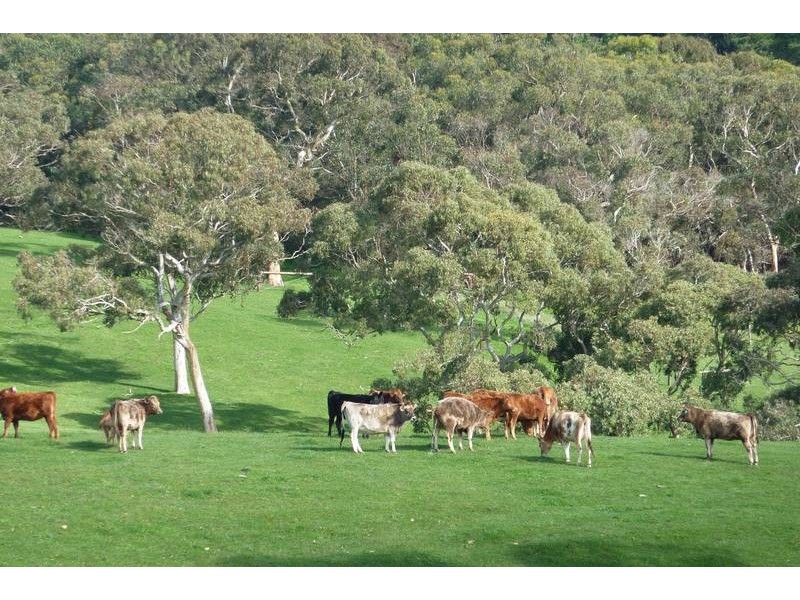 Lot 13 Scout Camp Road, Hope Forest SA 5172