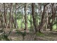 Lot 13 Scout Camp Road, Hope Forest SA 5172