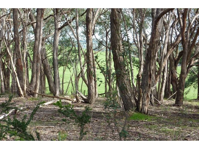 Lot 13 Scout Camp Road, Hope Forest SA 5172