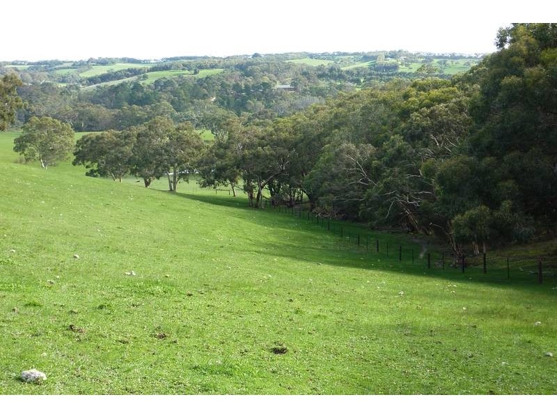 Lot 13 Scout Camp Road, Hope Forest SA 5172