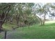 Lot 13 Scout Camp Road, Hope Forest SA 5172