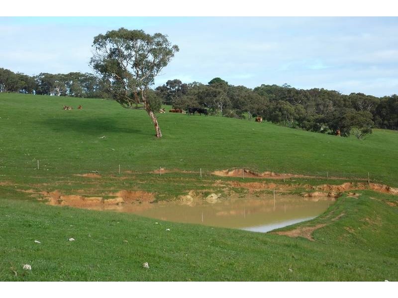 Lot 13 Scout Camp Road, Hope Forest SA 5172