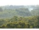 Lot 13 Scout Camp Road, Hope Forest SA 5172