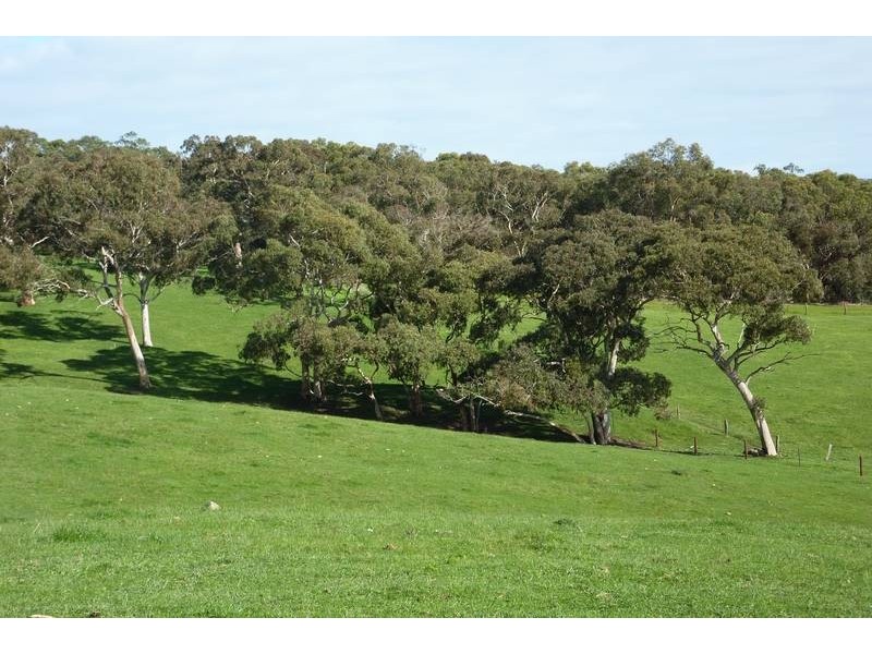 Lot 13 Scout Camp Road, Hope Forest SA 5172