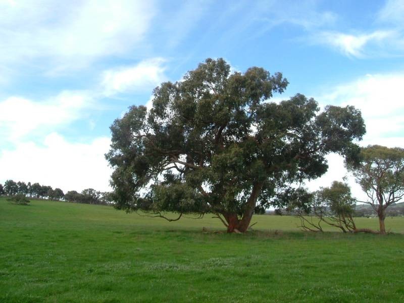 Lot 3,  Victor Harbor Road, Mount Compass SA 5210