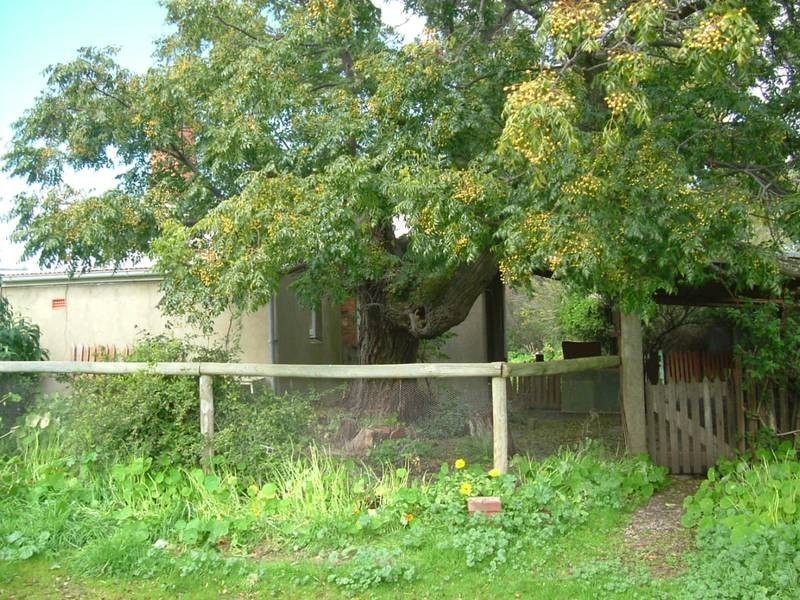 Strout Road, Willunga SA 5172